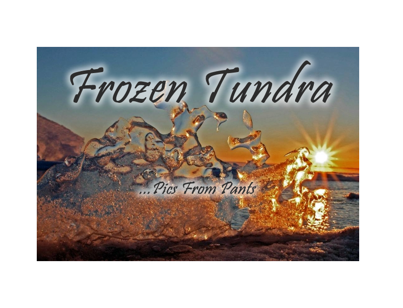 Enter Frozen Tundra Gallery