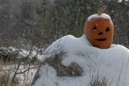 frost on the pumpkin