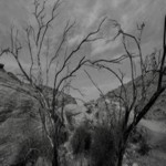 Songs from the Nothingness