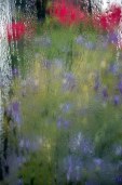 blurred bouquet