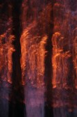 burning desire