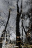reflection