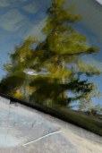 treestacular
