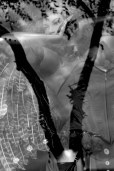 reflective plastic people