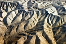 natures design