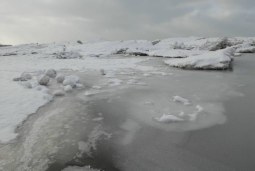 frozen vista