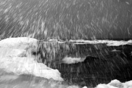 snowed
