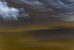 skyscape
