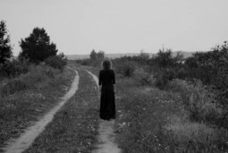 on the horizon