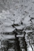 reflection