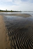 by the shore