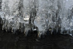 ice jewels