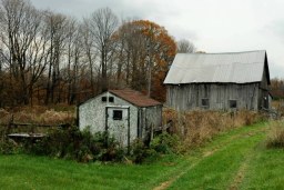 countryscapes