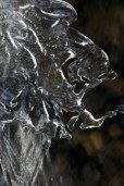ice sculpting