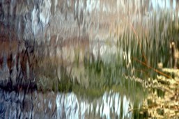 shimmers