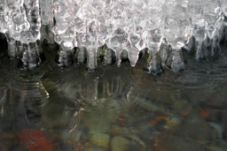 ice jewels