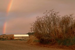 countryscape