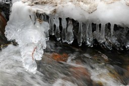 ice jewels