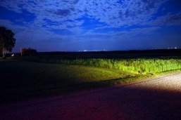skyscape