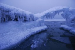 frozen tundra