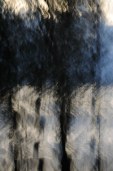 shimmers