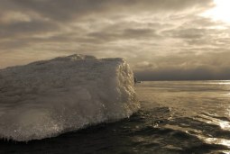 ice burged