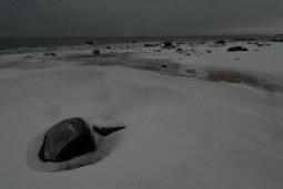 by the shore