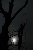 nightscape