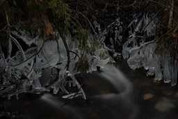 iced jewels