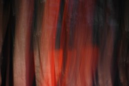 burning desire