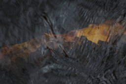 waterworld