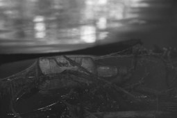 waterworld