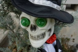 happy halloween